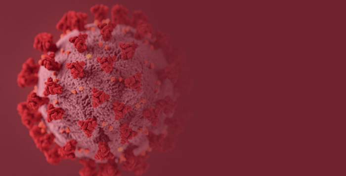 COVID-19 cell