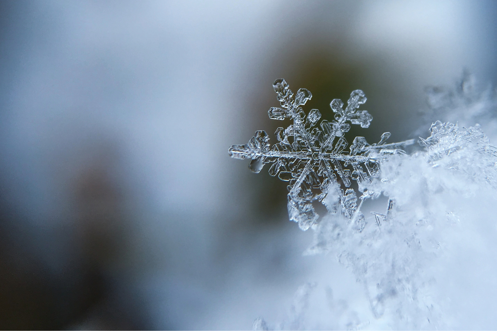 How to Prevent Sprinkler Systems Freezing in the Winter